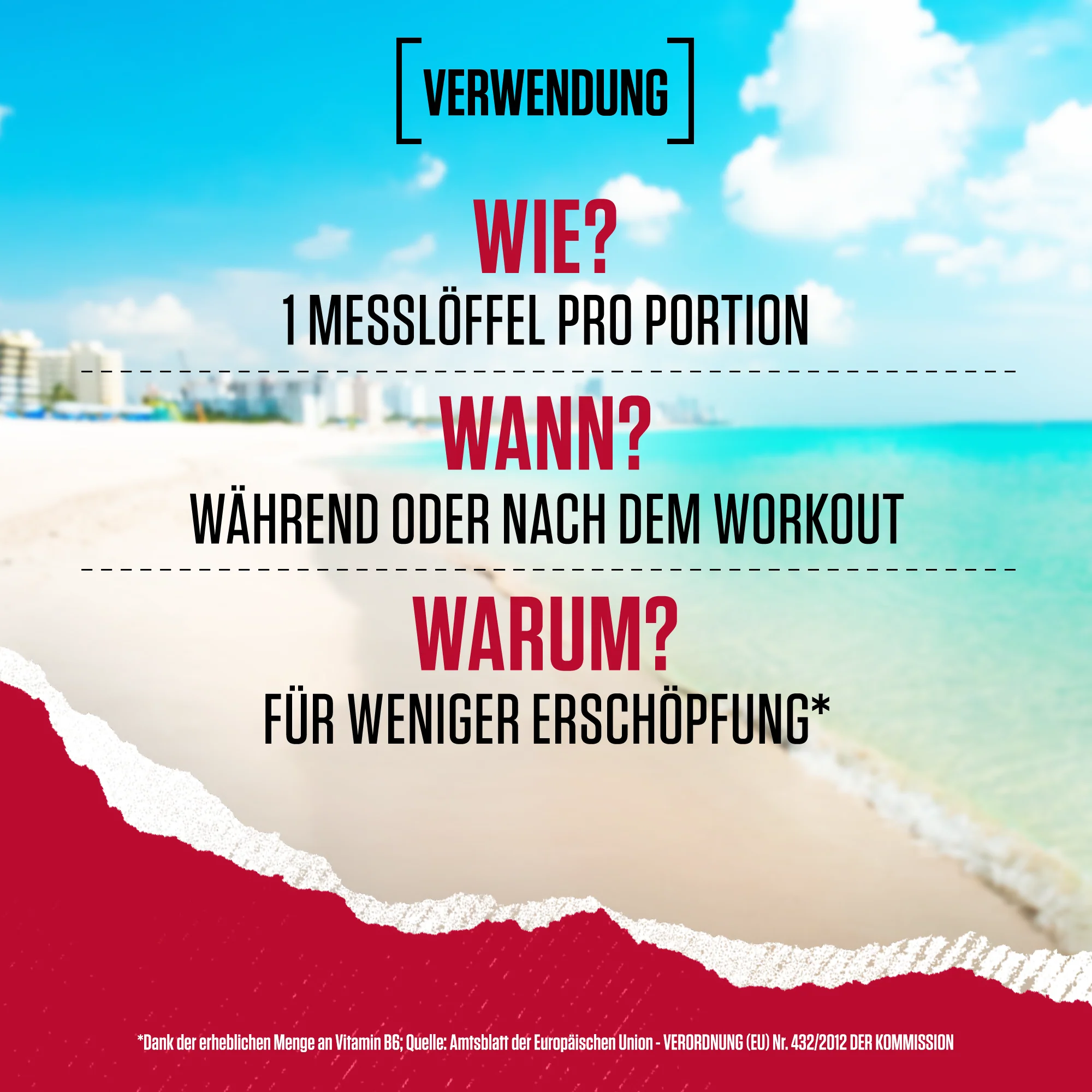 Amino X Aminosäuren BCAA (435g) - Image 10