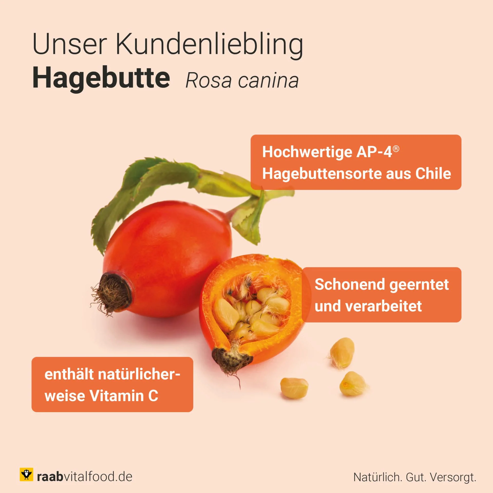 Bio Hagebutten Pulver (150g) - Image 6