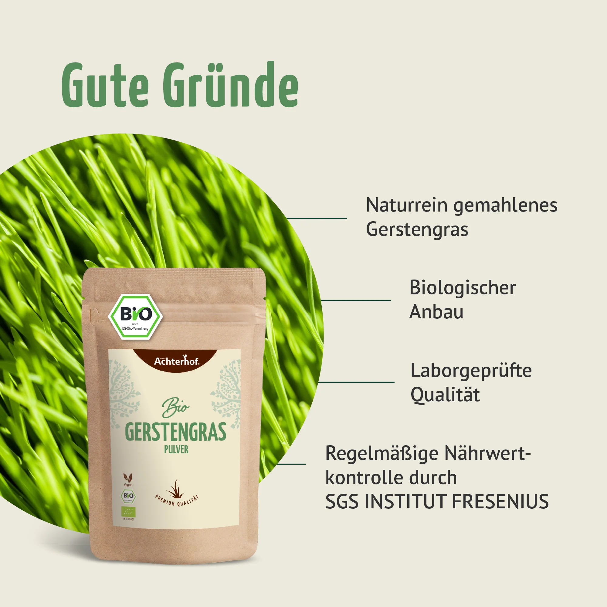 Bio Gerstengras Pulver (500g) - Image 4