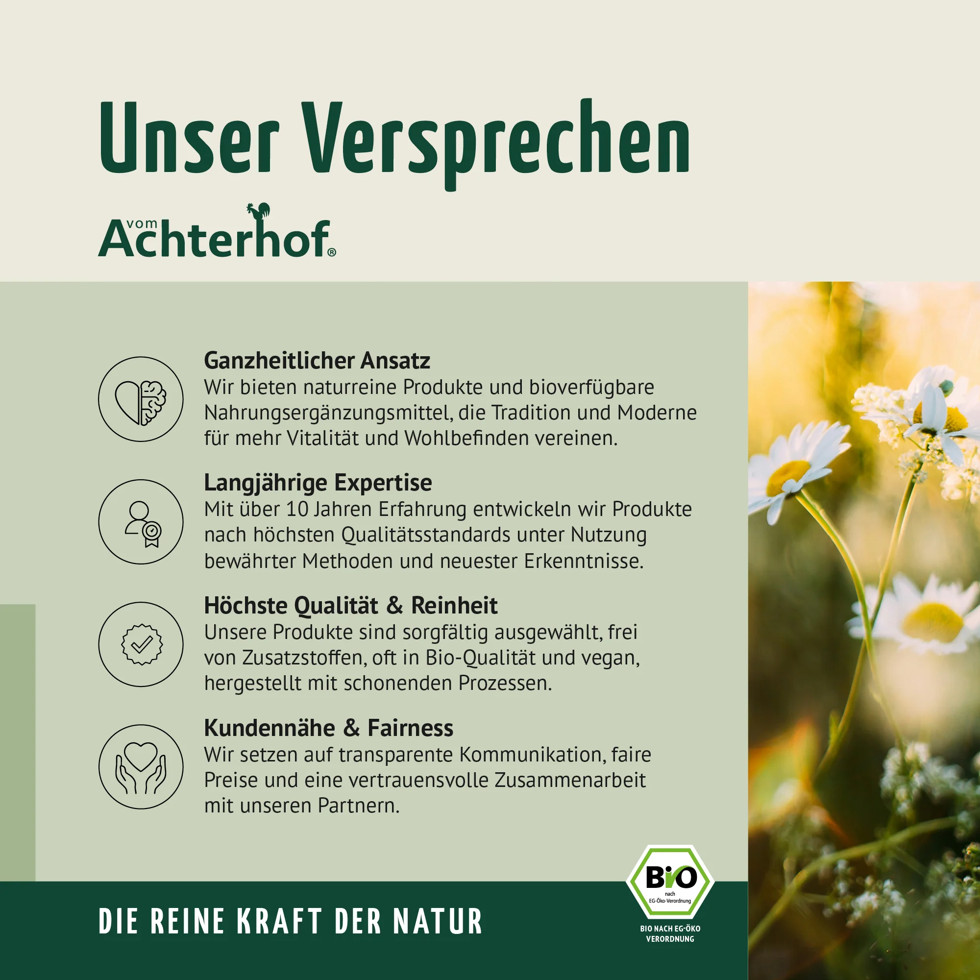 Bio Hagebutten Pulver (1000g) - Image 10