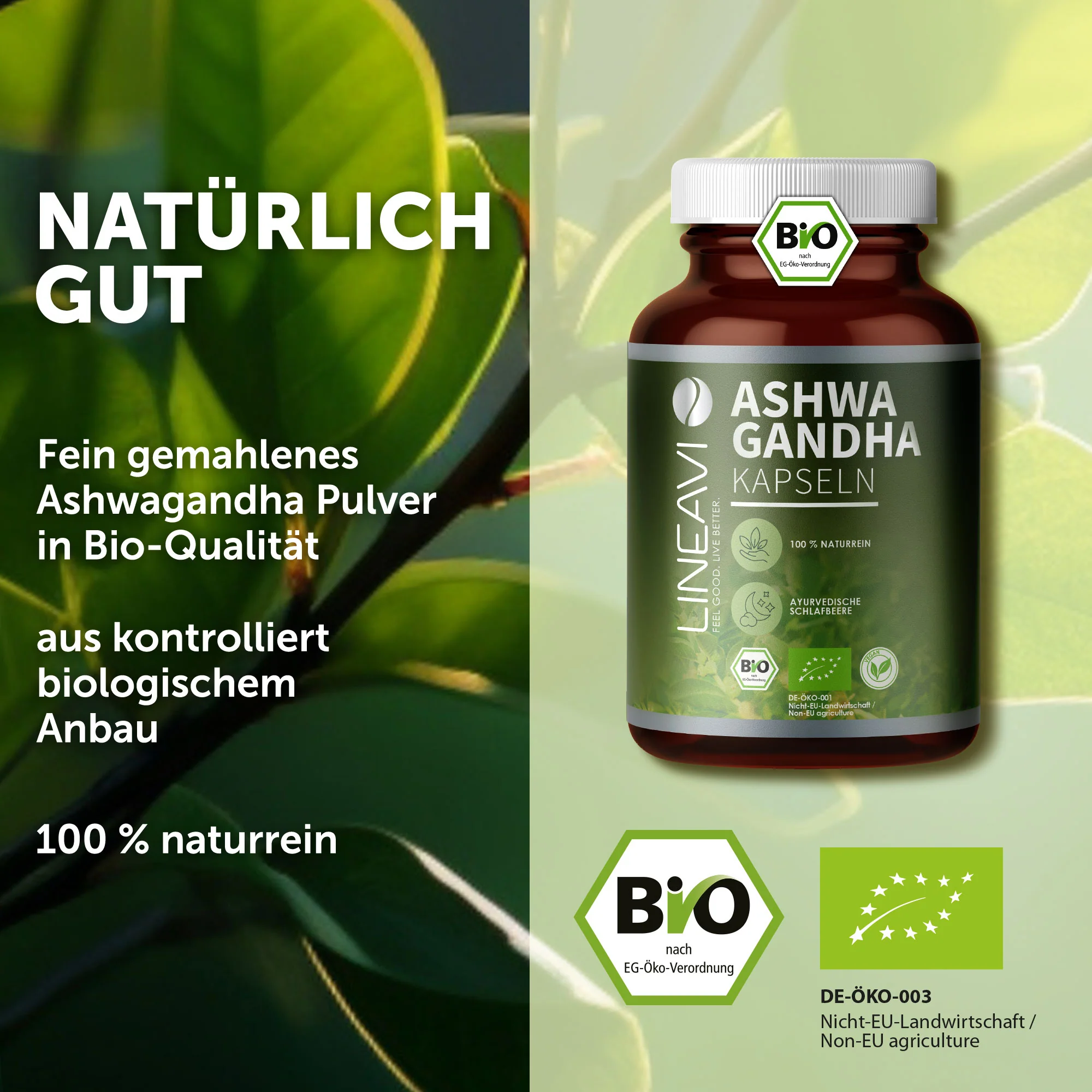 Ashwagandha Kapseln bio (150 Kapseln) - Image 9