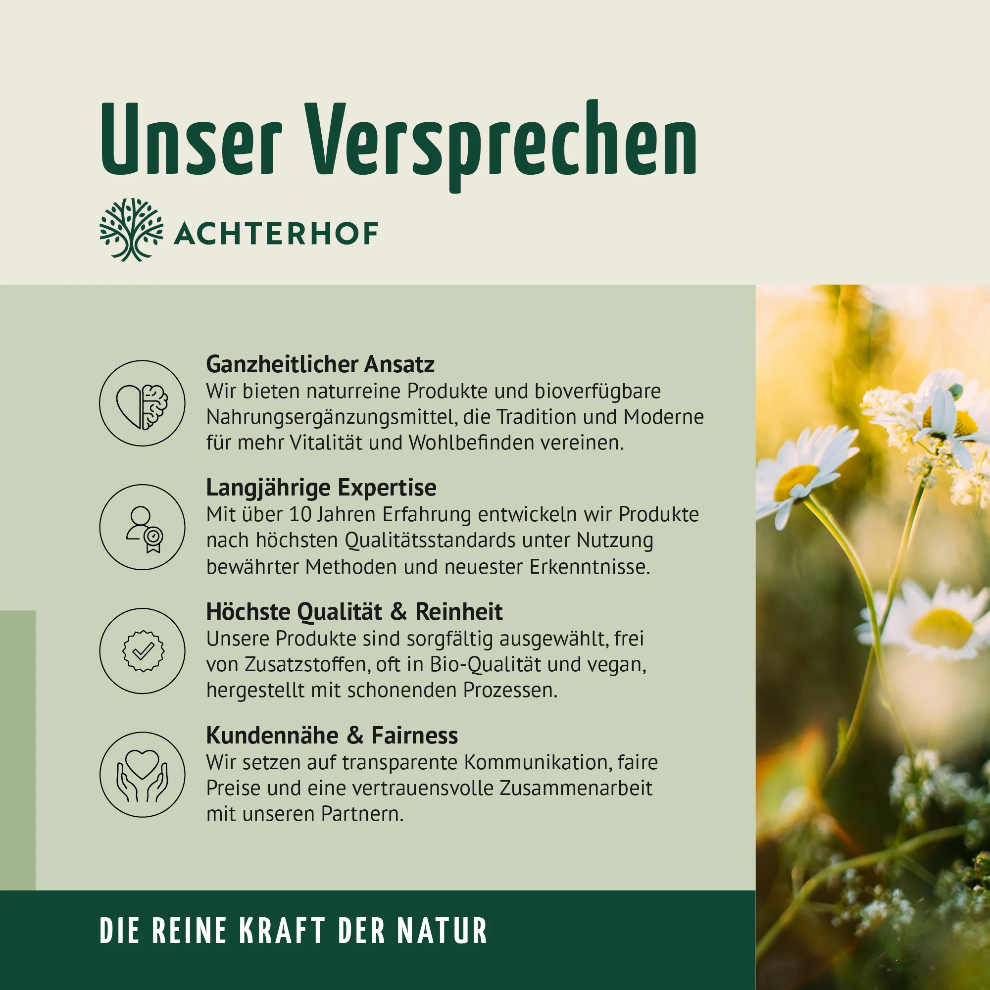 OPC Traubenkernextrakt + Vitamin C Kapseln (200 Kapseln) - Image 8