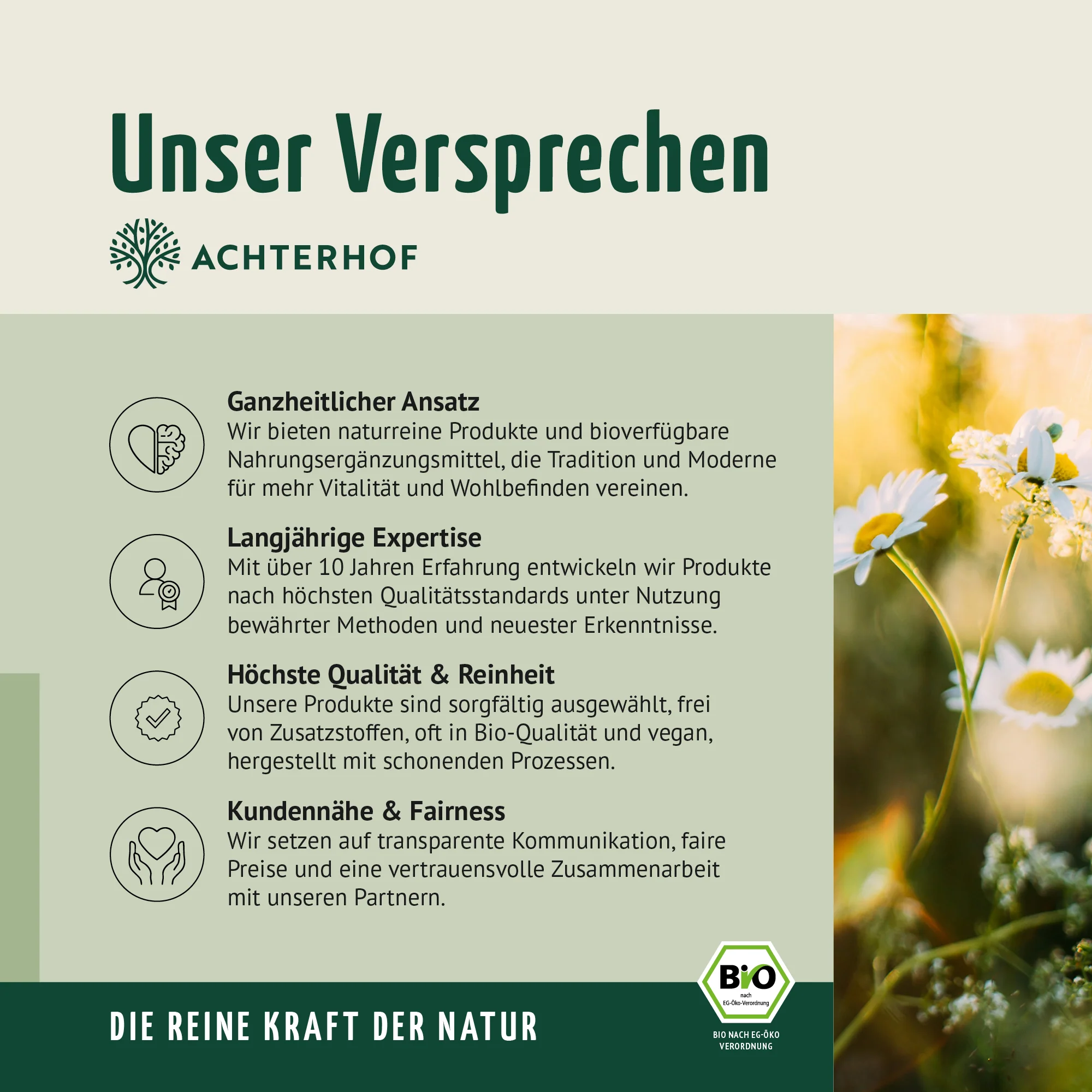 Bio Reisprotein Pulver (1000g) - Image 8