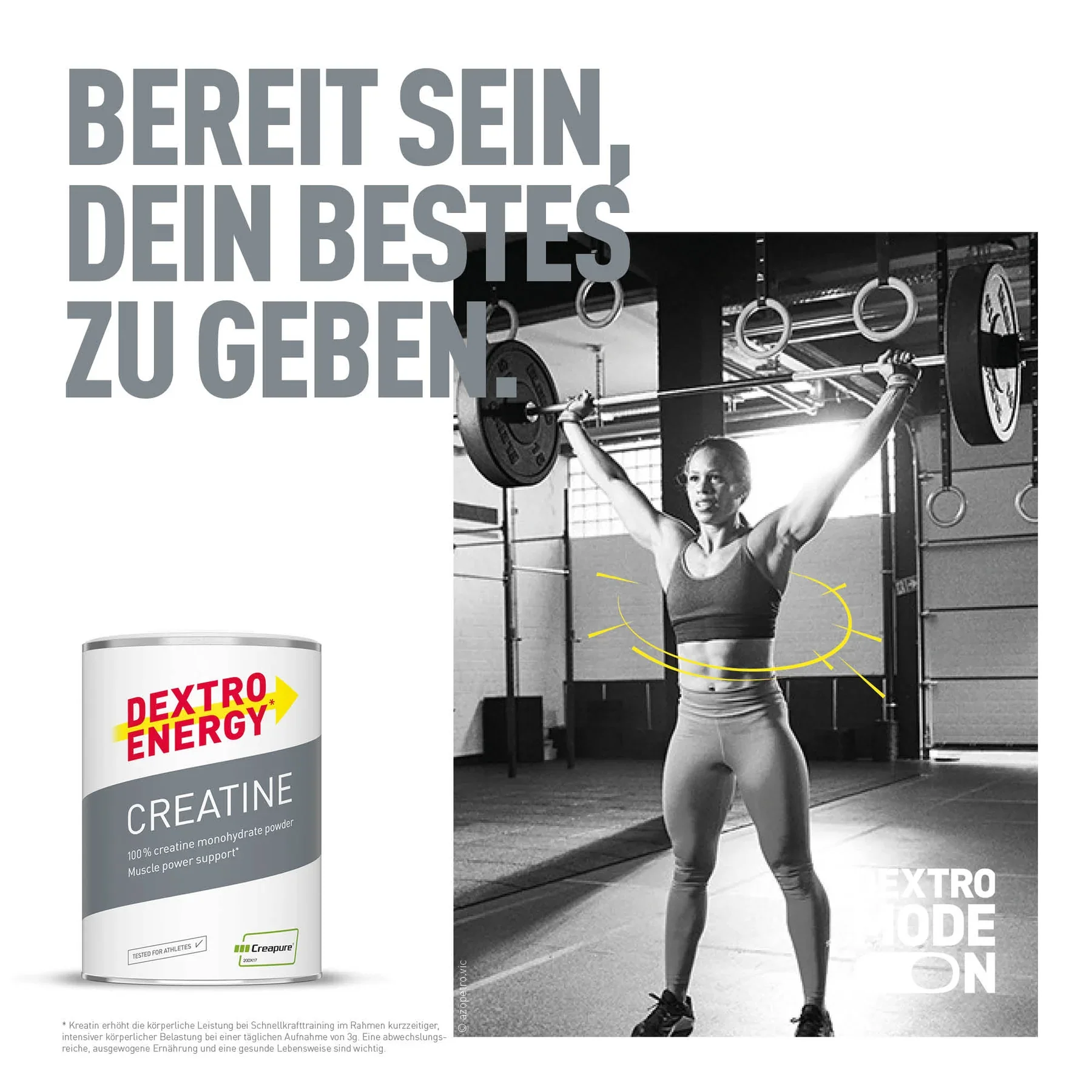 Creatine Creapure (500g) - Image 4