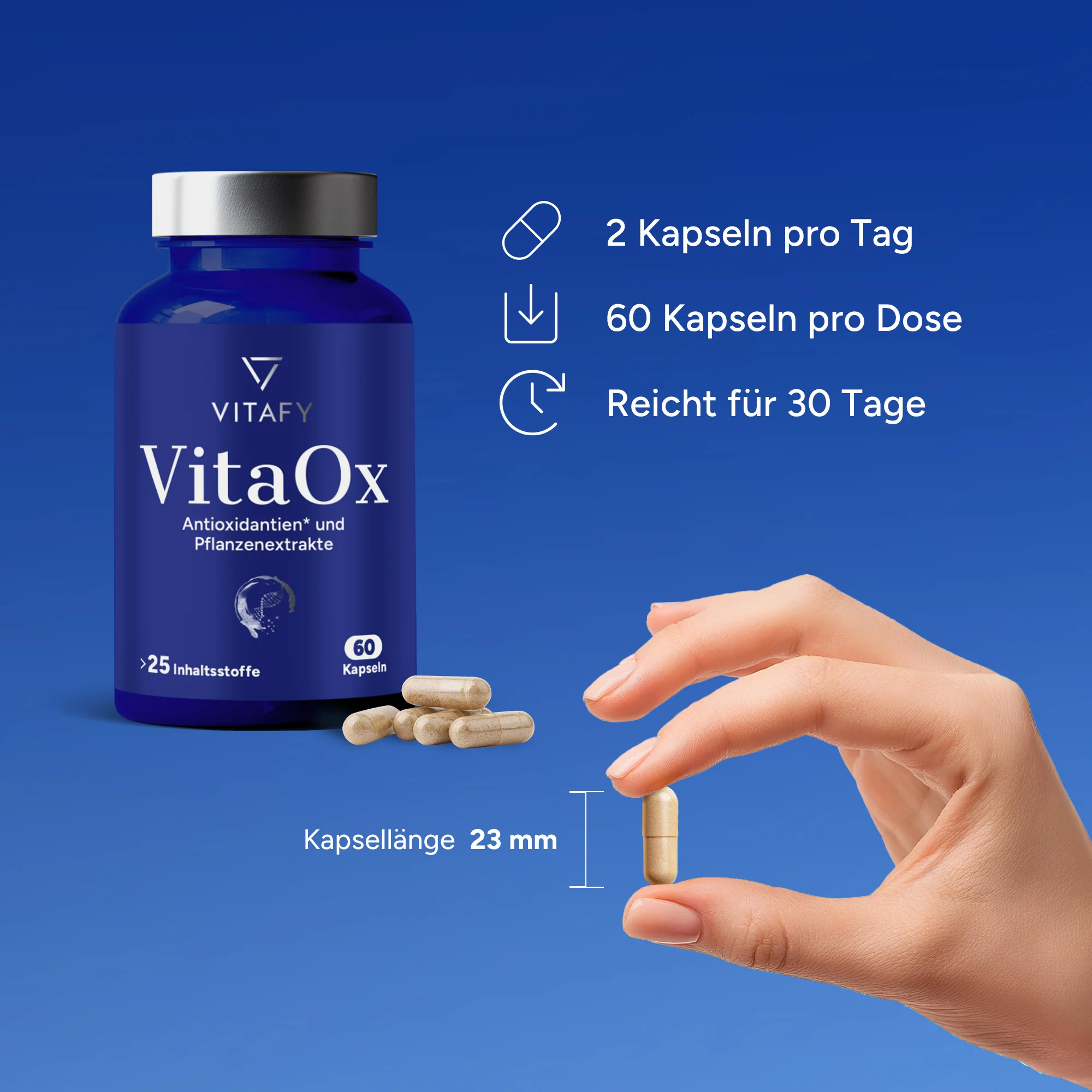 VitaOx Zellschutz Komplex (60 Kapseln) - Image 5
